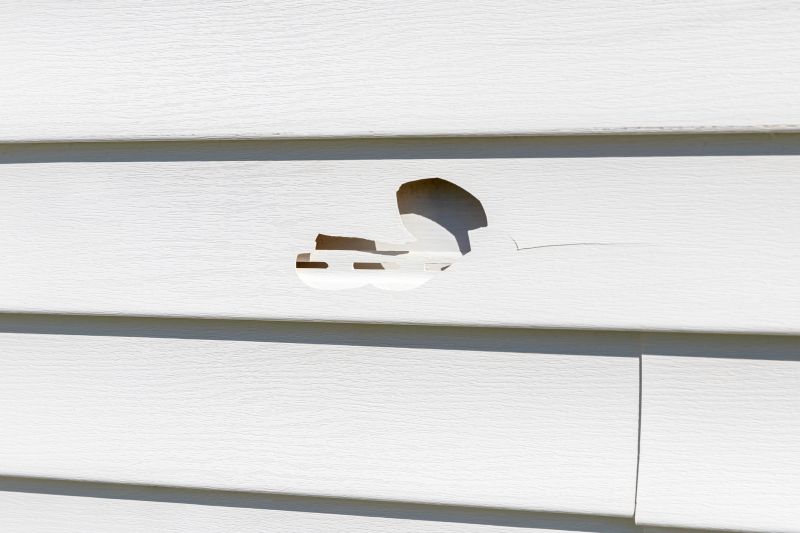 Vinyl Siding Repair Experts